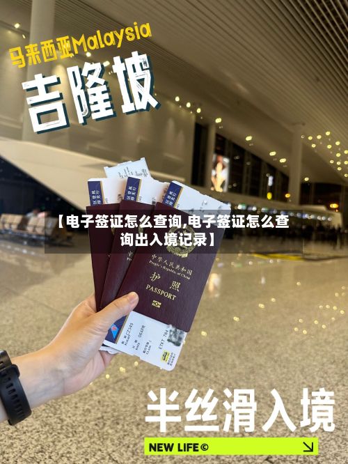 【电子签证怎么查询,电子签证怎么查询出入境记录】
