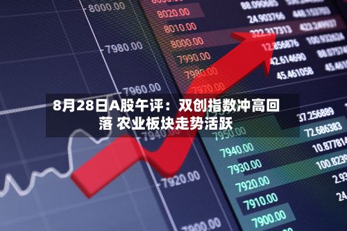 8月28日A股午评:双创指数冲高回落 农业板块走势活跃-第2张图片