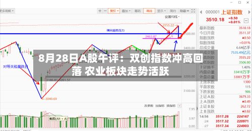 8月28日A股午评:双创指数冲高回落 农业板块走势活跃-第3张图片