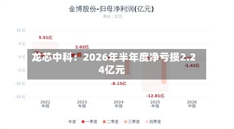 龙芯中科:2026年半年度净亏损2.24亿元-第2张图片