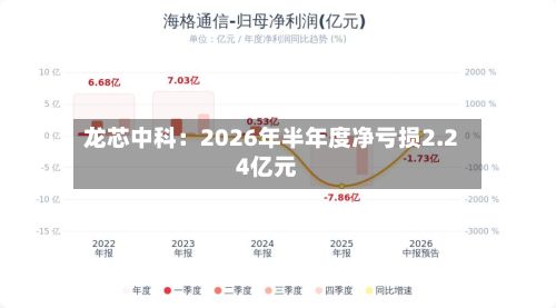 龙芯中科:2026年半年度净亏损2.24亿元-第3张图片