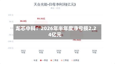 龙芯中科：2026年半年度净亏损2.24亿元