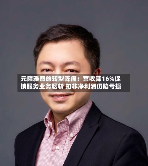 元隆雅图的转型阵痛：营收降16%促销服务业务腰斩 扣非净利润仍陷亏损-第2张图片