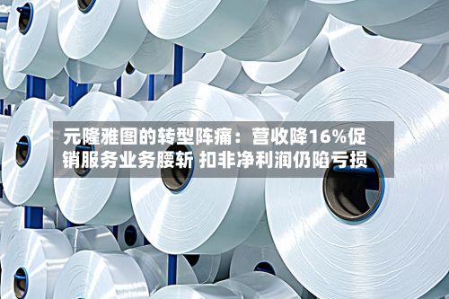 元隆雅图的转型阵痛:营收降16%促销服务业务腰斩 扣非净利润仍陷亏损
