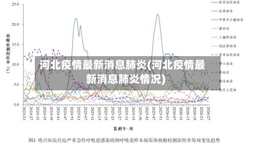 河北疫情最新消息肺炎(河北疫情最新消息肺炎情况)