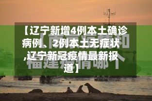 【辽宁新增4例本土确诊病例	、2例本土无症状,辽宁新冠疫情最新报道】-第3张图片