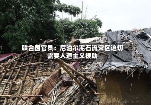 联合国官员:尼泊尔泥石流灾区迫切需要人道主义援助