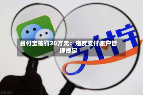 易付宝被罚20万元:违反支付账户管理规定-第2张图片