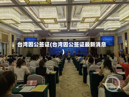 台湾因公签证(台湾因公签证最新消息)-第3张图片